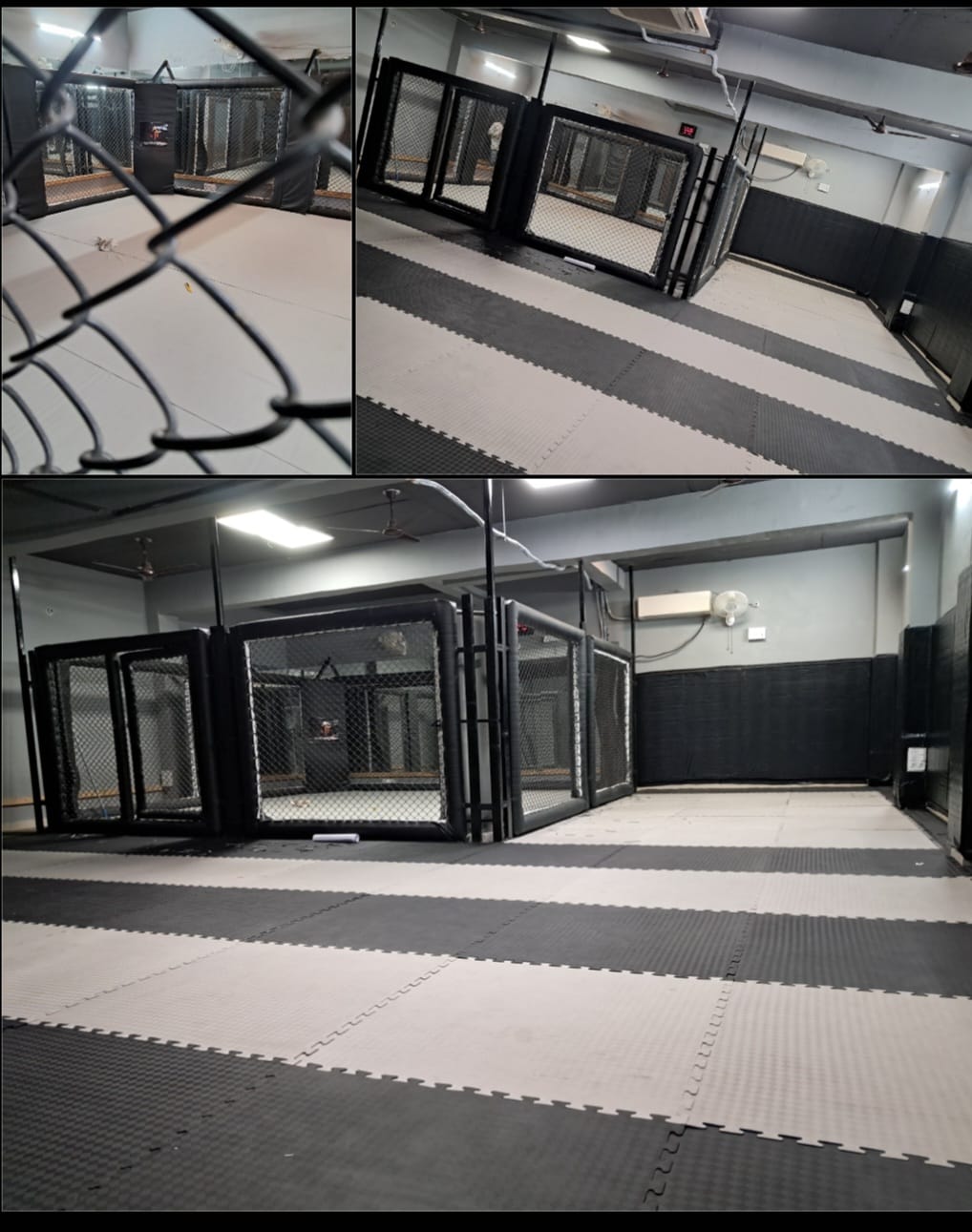Professional MMA Cage - Complete Setup - Image 2